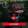 image:imageCoast SL1R USB Rechargeable Safety Clip Light with Red Light MultiMode and Adhesive Dual Mount Running Walking Cycling Job Site HelmetHard Hat Compatible Dog Light