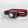 image:imageCoast FL84 575 Lumen Dual Color Focusing LED Headlamp 2Pack