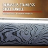 image:imageCoast Founders Collection LX533 ORIGIN Gentlemans EDC Folding Pocketknife DAMASCUS StainlessSteel Handle Flipper Tab Frame Lock Pocket Clip Black Nitride StainlessSteel Blade